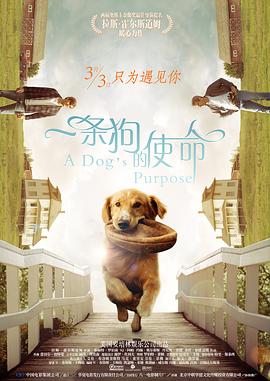 在线观看成人网