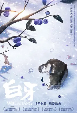 aa视频在线观看