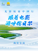 国产91在线精品