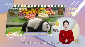 国产乱人伦精品